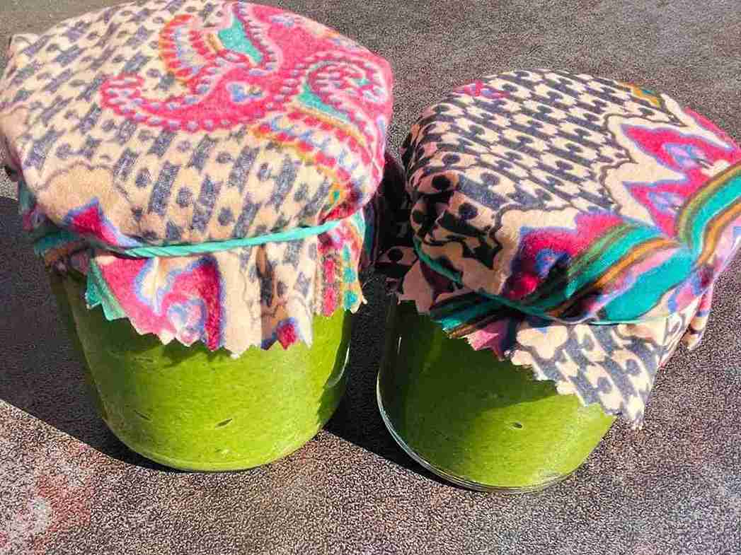 Recipe for nettle pesto