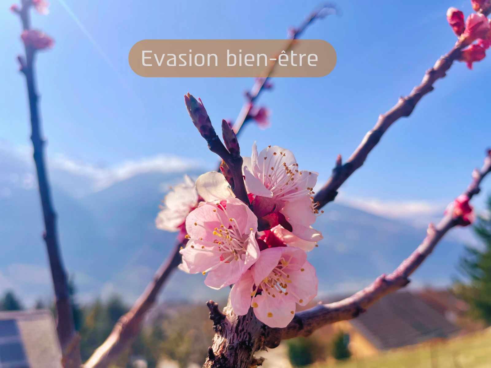 Wellness escape with Laets’move