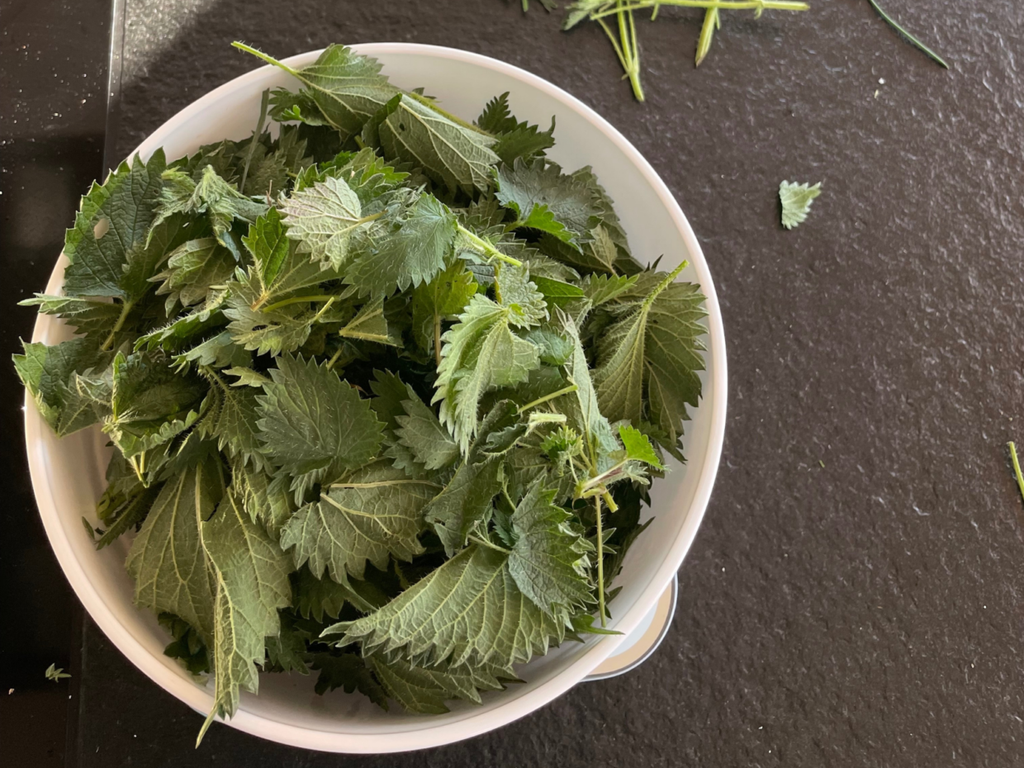 Rezept für Brennnesselpesto 2 image 32