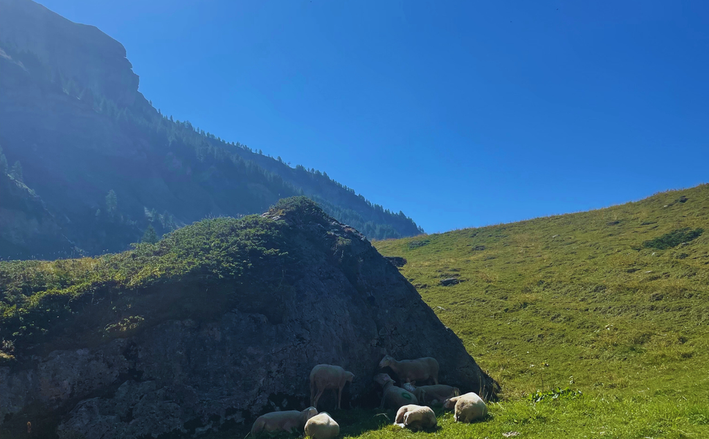 Crans-Montana Hiking: a timeless Adventure in the Secret Ertenze Valley 3 image 37